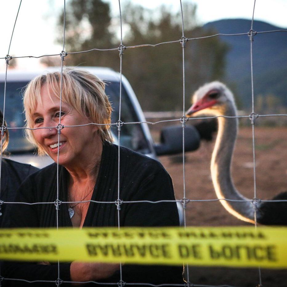 Interim stay of cull order turns despair to joy on B.C. ostrich farm